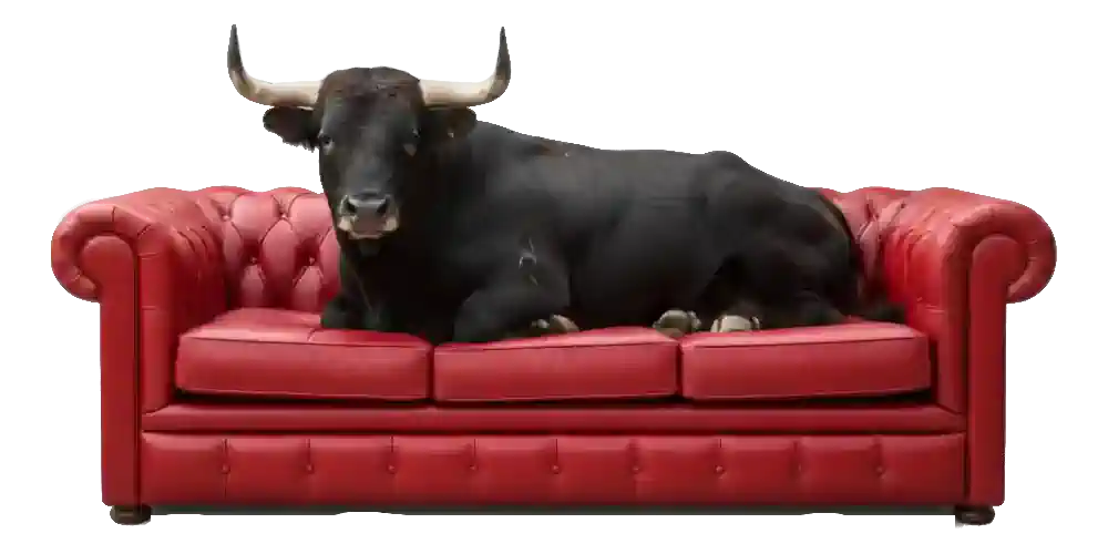 Mi Avenida — Descubre comercios locales